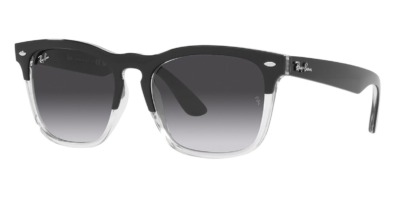 Kính râm Ray-Ban Steve RB 4487 6630/8G chính hãng