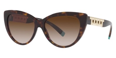 Kính râm Tiffany & Co TF4196 8015/3B chính hãng